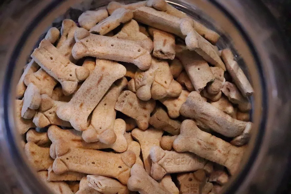 PET FOOD DISCOUNT